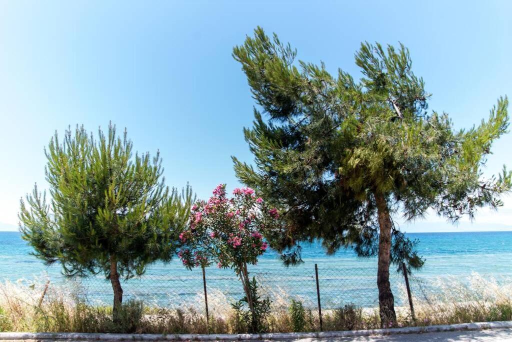Seafront 2 Bedrooms Apartment نيا إيراكليا المظهر الخارجي الصورة