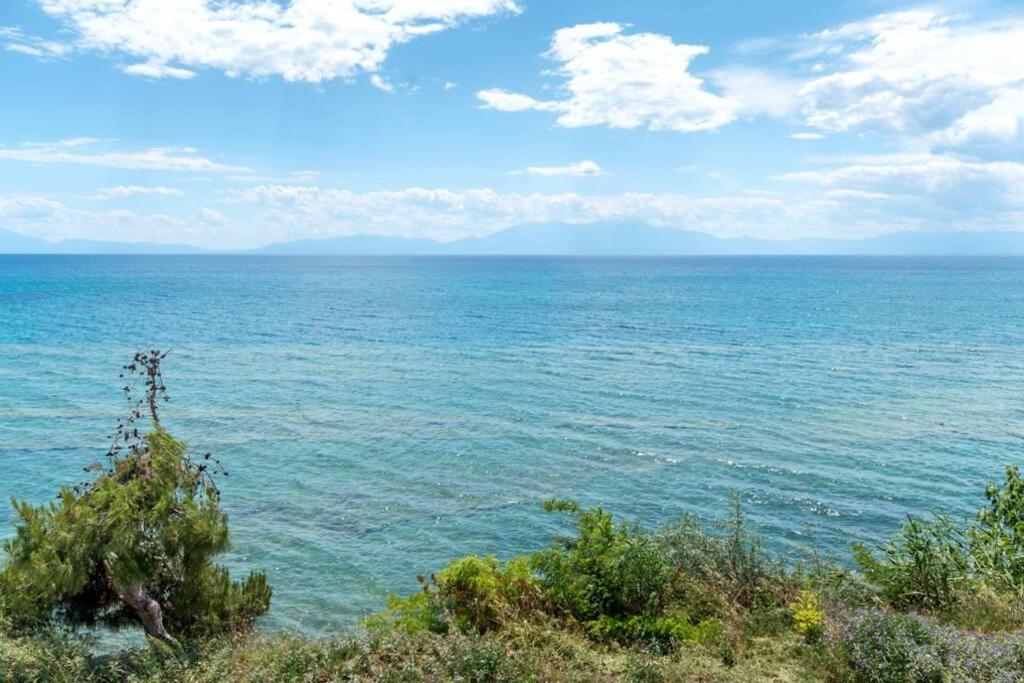 Seafront 2 Bedrooms Apartment نيا إيراكليا المظهر الخارجي الصورة
